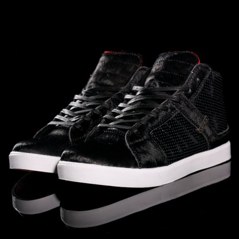 Supra shop indy ns